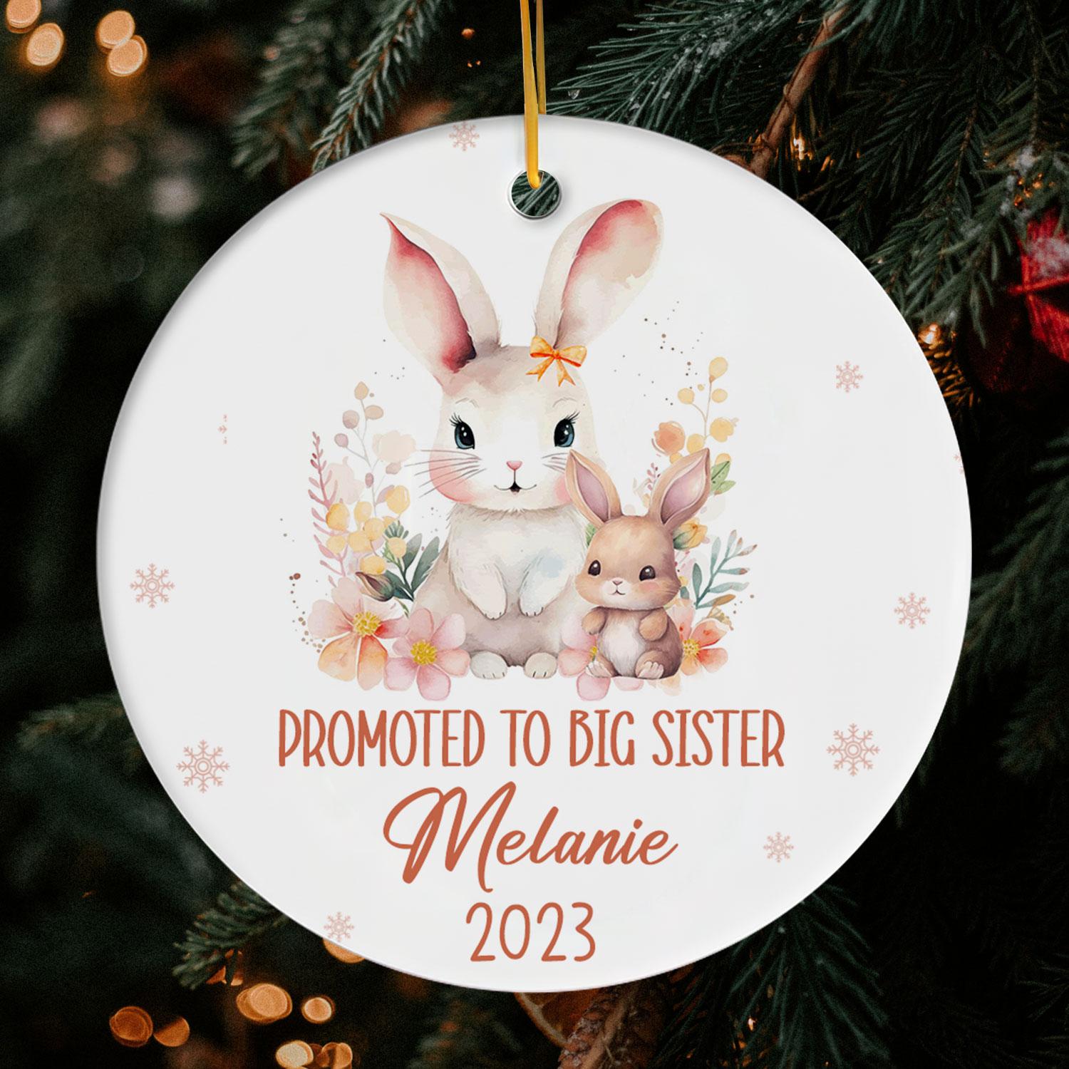 Promoted To Big Sister - Personalized Christmas gift for Big Sister or Daughter - Custom Circle Ceramic Ornament - Elizabeth Fashions