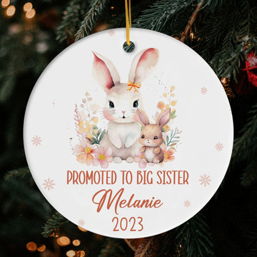 Promoted To Big Sister - Personalized Christmas gift for Big Sister or Daughter - Custom Circle Ceramic Ornament - Elizabeth Fashions
