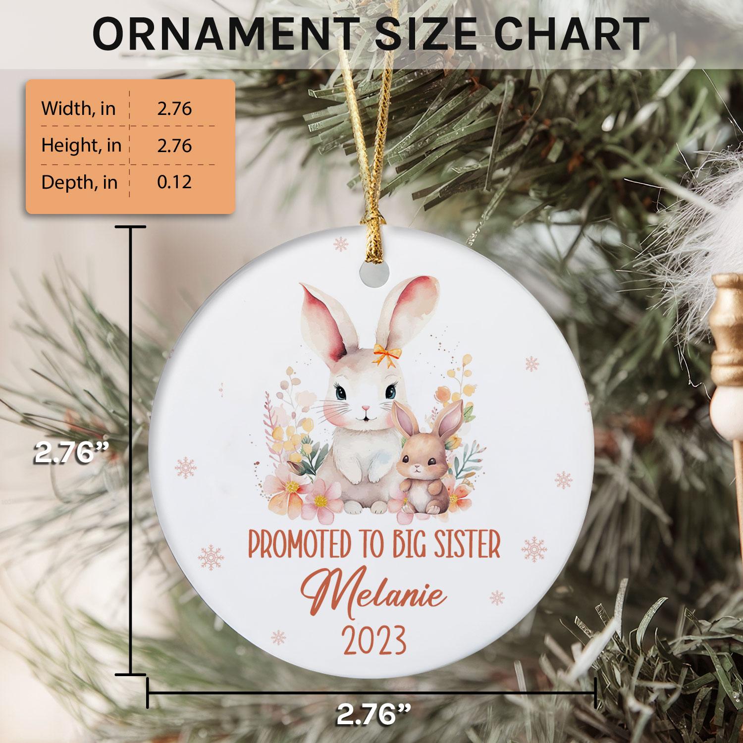 Promoted To Big Sister - Personalized Christmas gift for Big Sister or Daughter - Custom Circle Ceramic Ornament - Elizabeth Fashions